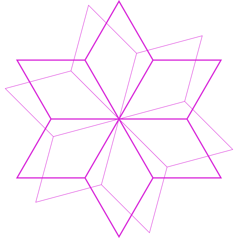 geometric flower